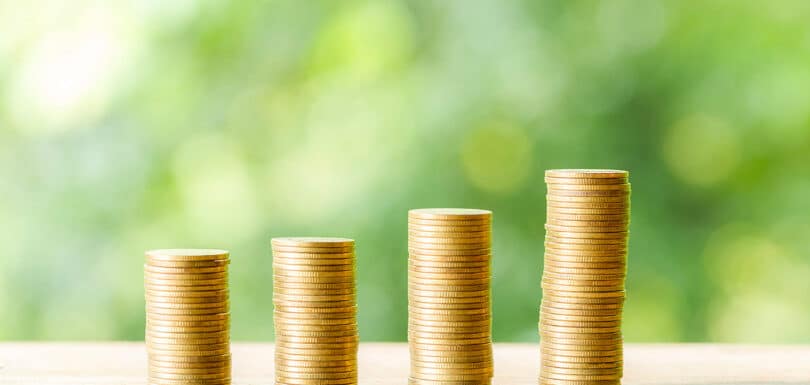 Erreur avec le capital social